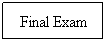 Text Box: Final Exam
